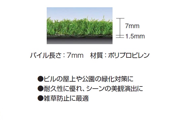 lH Cg^[t